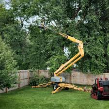 Best Tree Trimming and Pruning  in Yountville, CA