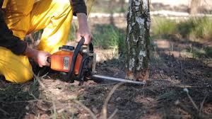 Best Weed Control  in Yountville, CA