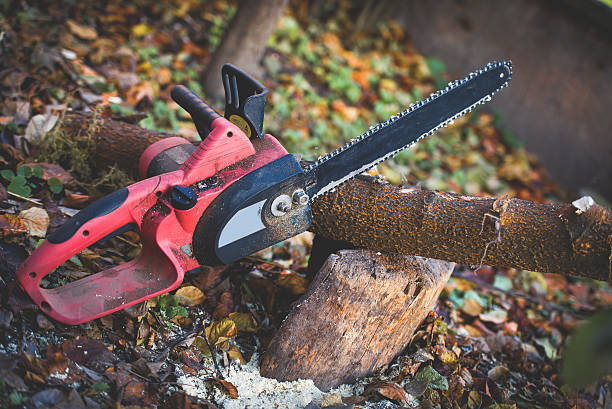 Best Firewood Processing and Delivery  in Yountville, CA